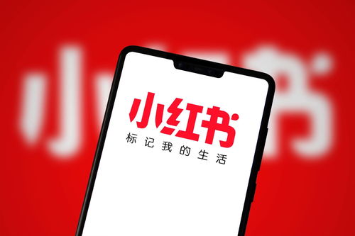 廣州小紅書達(dá)人推廣攻略 如何在網(wǎng)絡(luò)科技領(lǐng)域高效開展技術(shù)開發(fā)推廣